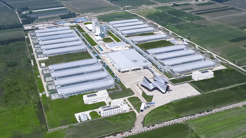 Shamba la CP Broiler huko Weifang