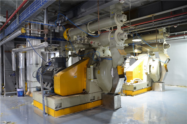 TURN KEY PLANT6